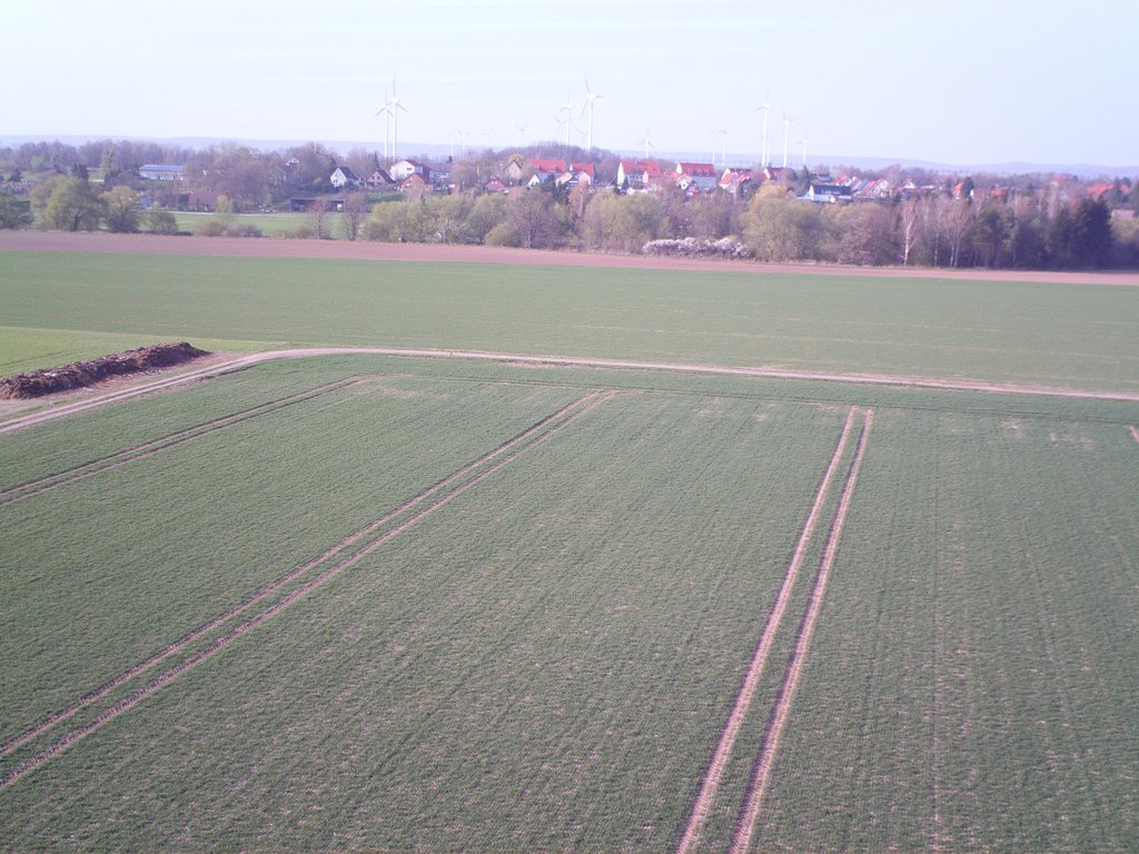 FCHD0080.jpg