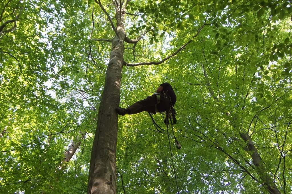 DSCF1573.jpg