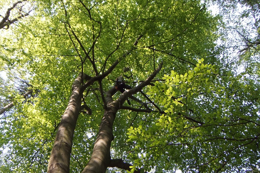 DSCF1576.jpg