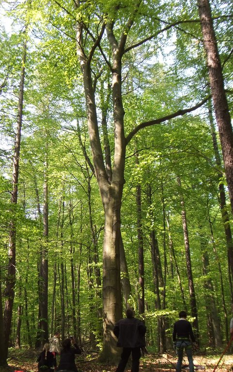 DSCF1588.jpg