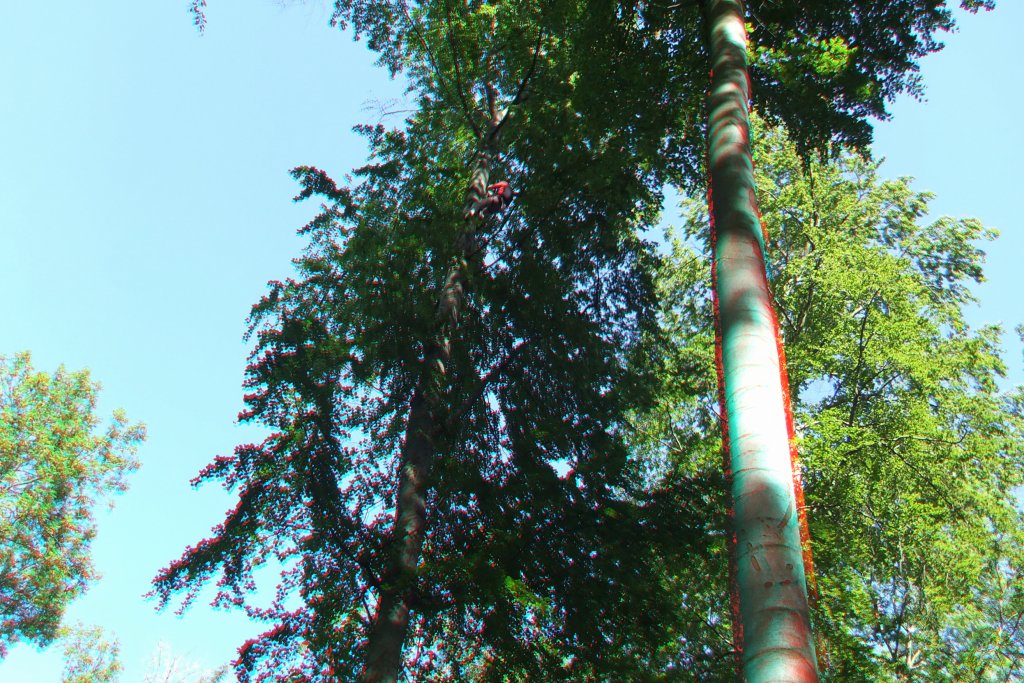 04_DSCF1897.jpg