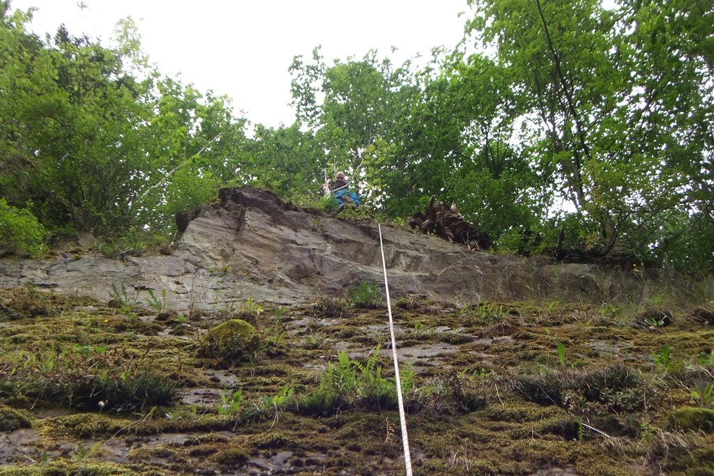 DSCF2130.jpg