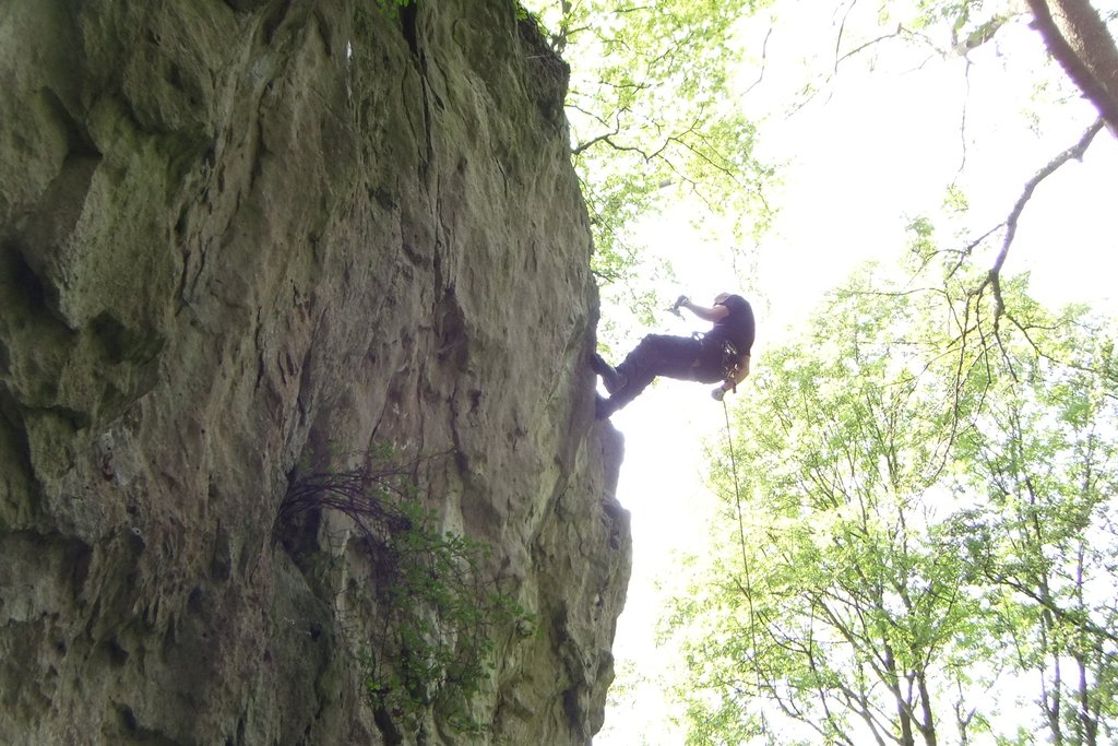 DSCF2560.jpg