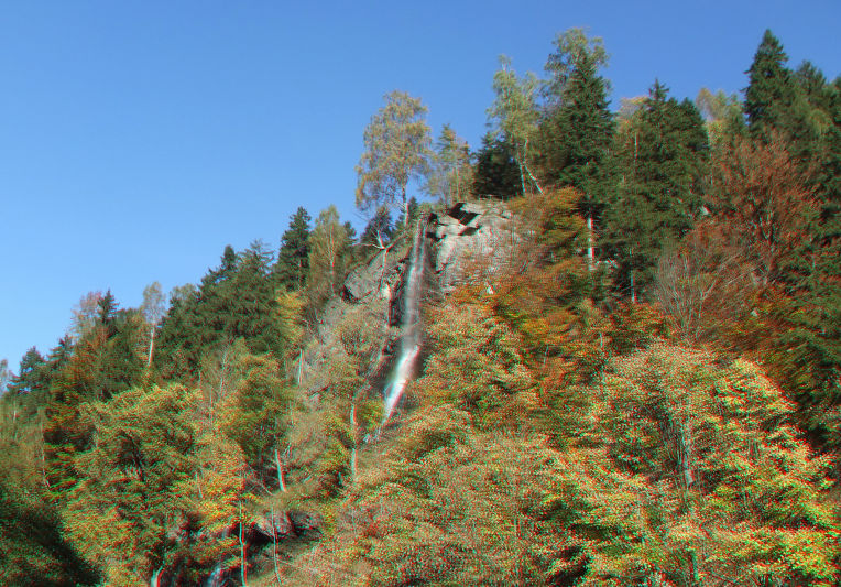 wild_dagger198.jpg